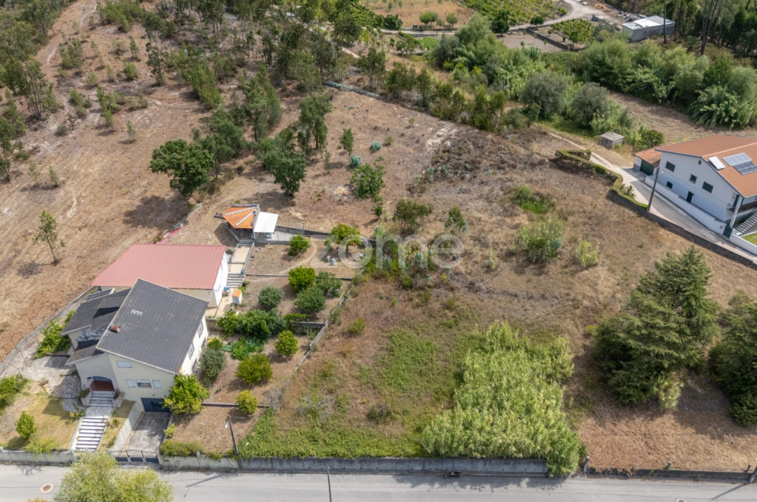 Terreno para Venda em Ançã Foto 8
