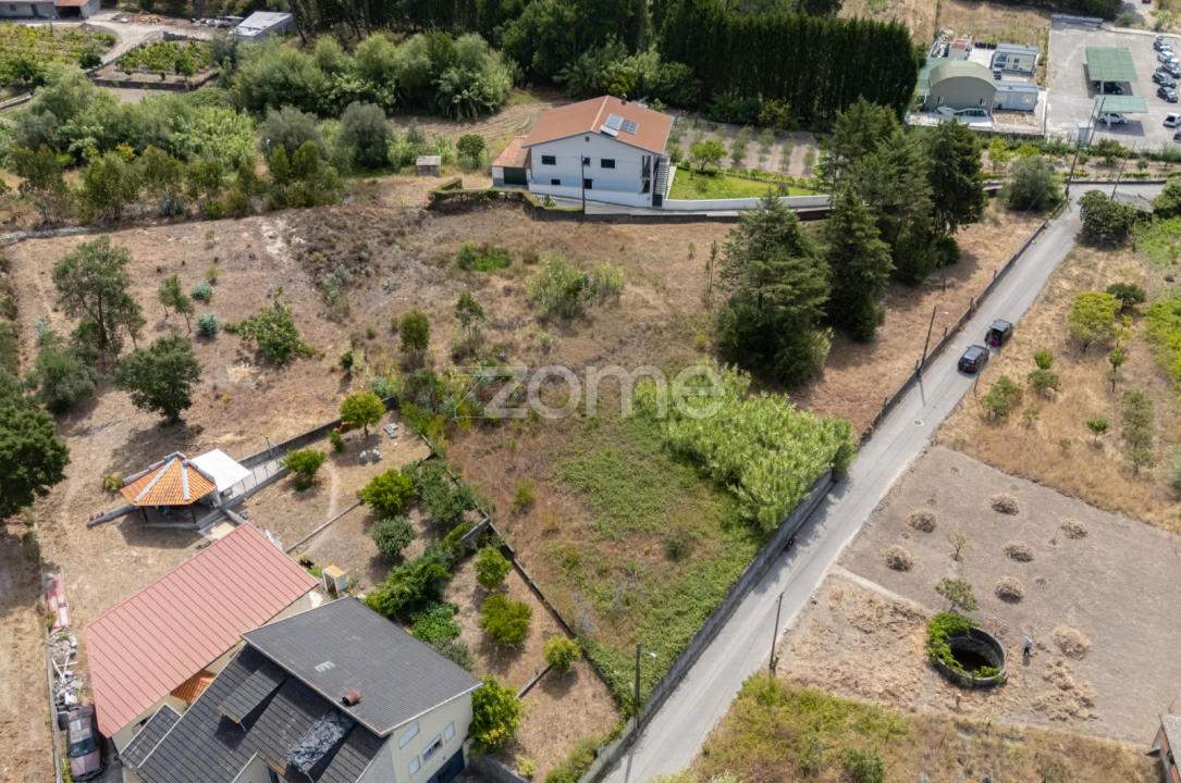 Terreno para Venda em Ançã Foto 9