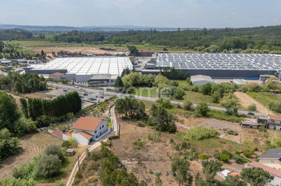Terreno para Venda em Ançã Foto 12