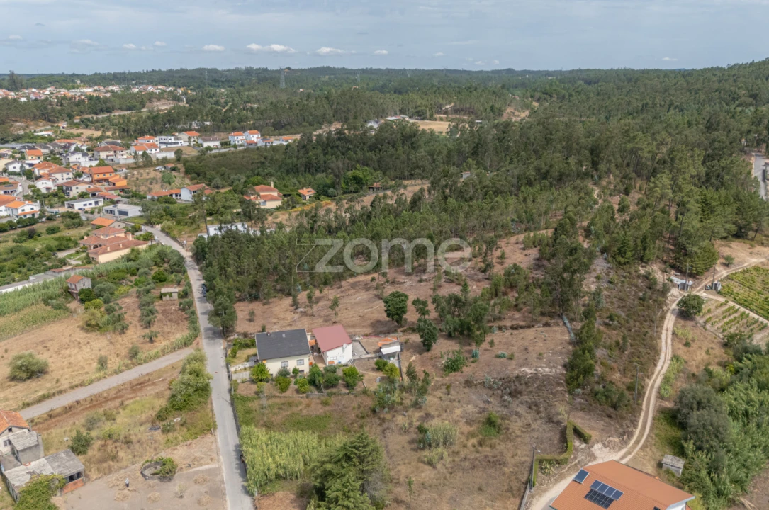 Terreno para Venda em Ançã Foto 16