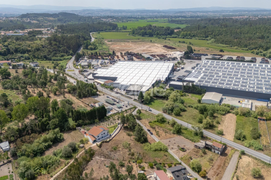 Terreno para Venda em Ançã Foto 23