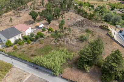 Terreno para Venda em Ançã