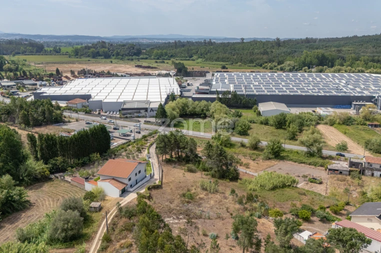 Terreno para Venda em Ançã Foto 12