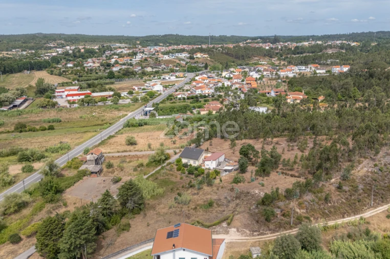Terreno para Venda em Ançã Foto 15