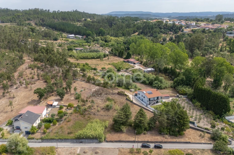 Terreno para Venda em Ançã Foto 18