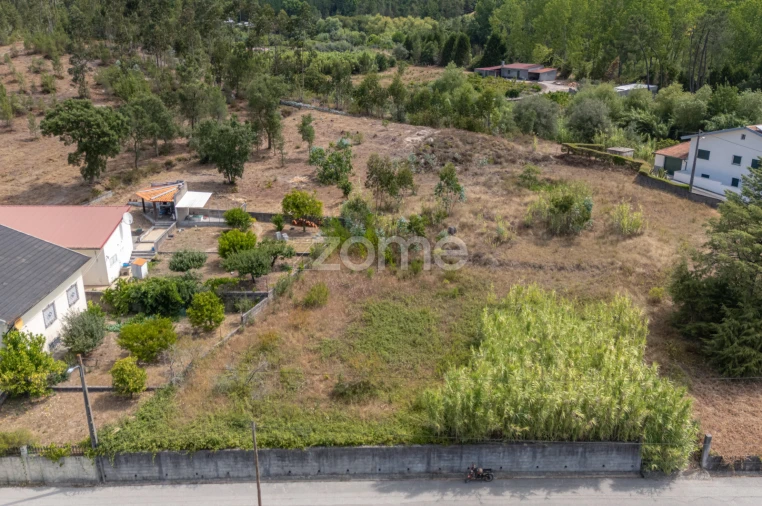 Terreno para Venda em Ançã Foto 19