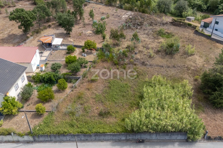 Terreno para Venda em Ançã Foto 20