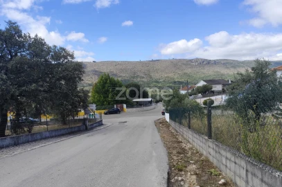 Terreno para Venda em Mira de Aire
