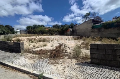 Terreno para Venda em Mira de Aire