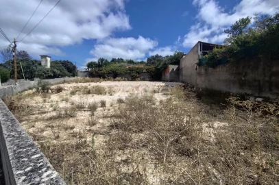 Terreno para Venda em Mira de Aire