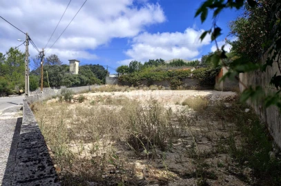 Terreno para Venda em Mira de Aire