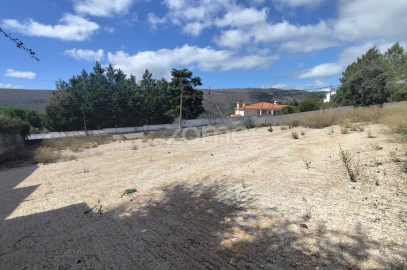 Terreno para Venda em Mira de Aire
