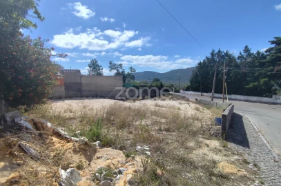 Terreno para Venda em Mira de Aire