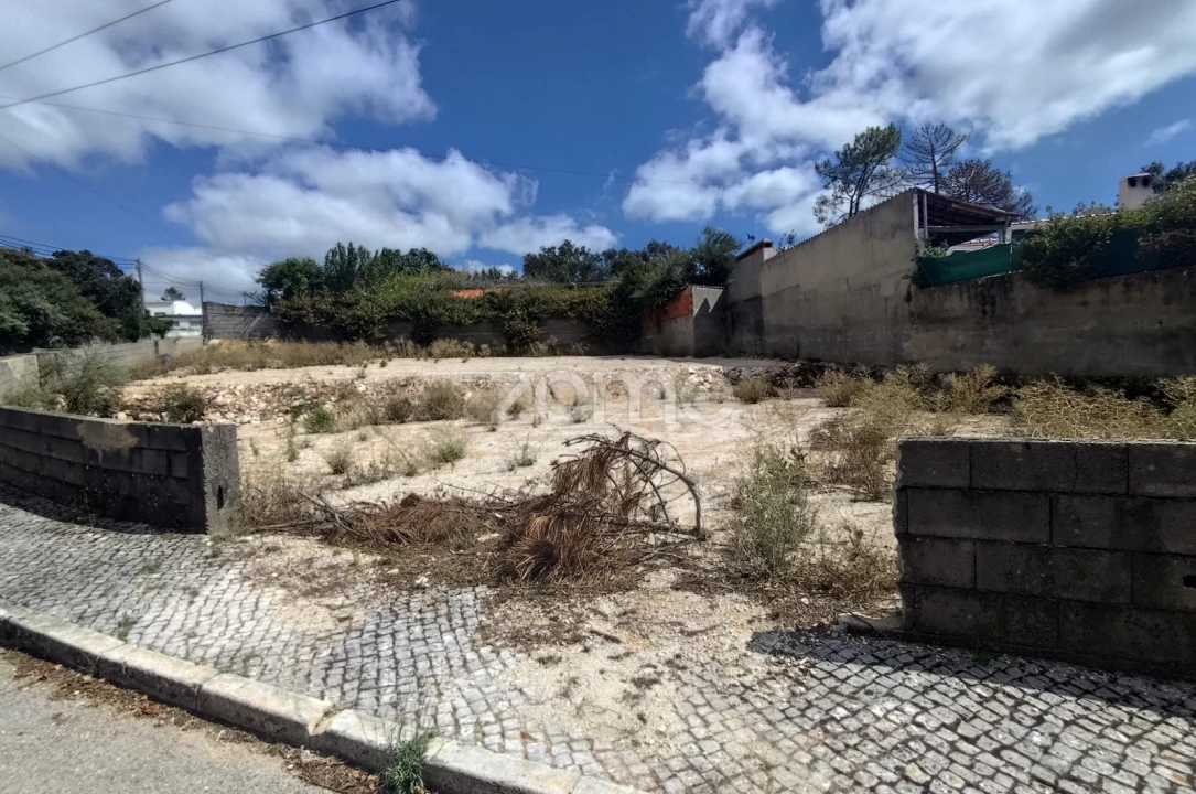 Terreno para Venda em Mira de Aire Foto 7