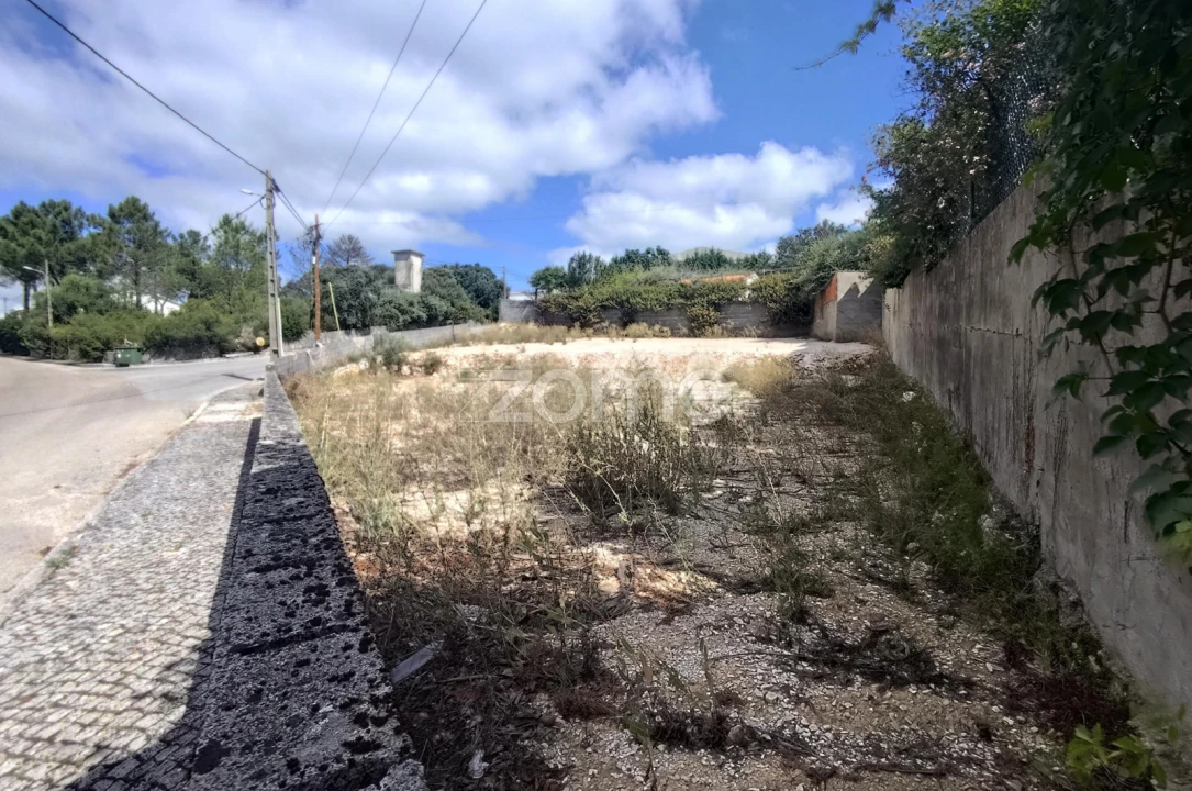 Terreno para Venda em Mira de Aire Foto 17