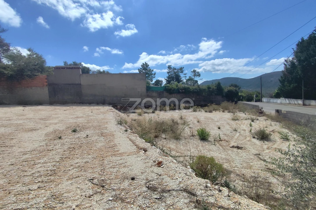 Terreno para Venda em Mira de Aire Foto 3