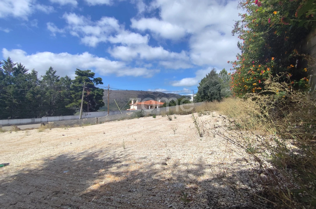 Terreno para Venda em Mira de Aire Foto 19