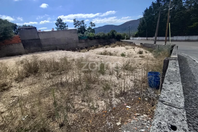 Terreno para Venda em Mira de Aire Foto 4