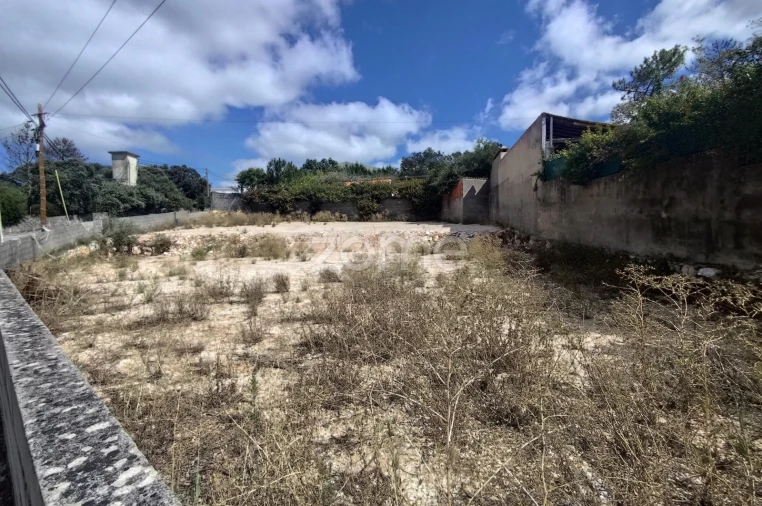 Terreno para Venda em Mira de Aire Foto 11
