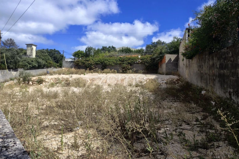 Terreno para Venda em Mira de Aire Foto 14