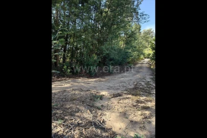 Terreno para Venda em Rocas do Vouga