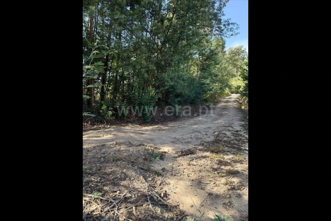 Terreno para Venda em Rocas do Vouga Foto 2