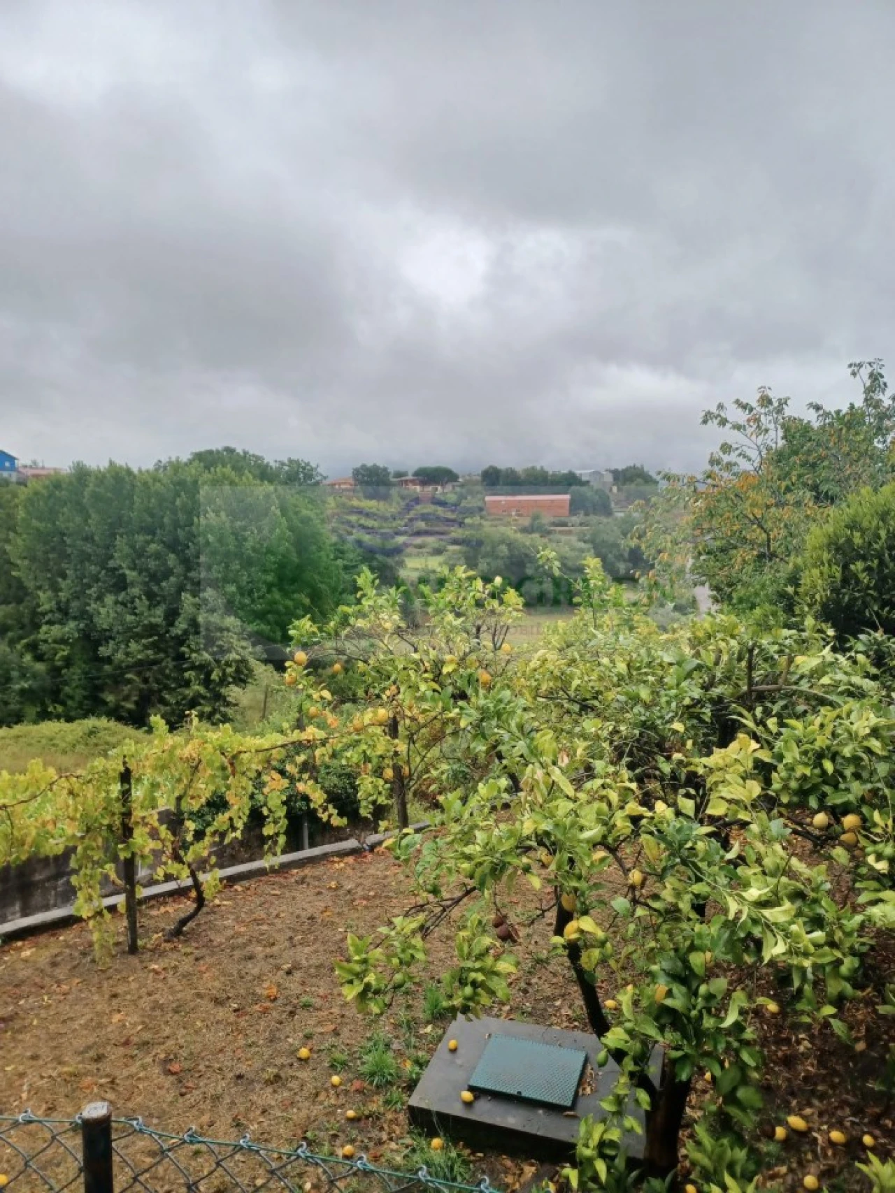 Moradia T3 para Venda em Rocas do Vouga Foto 33
