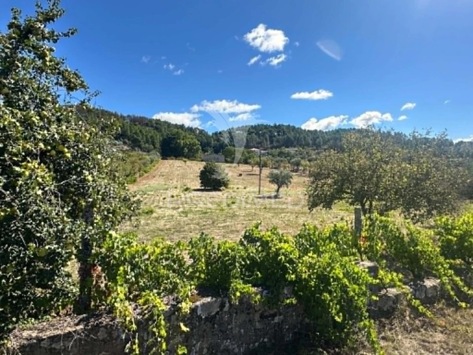 Quinta T0 para Venda em Vidago, Arcossó, Selhariz, Vilarinho Paranheiras Foto 7