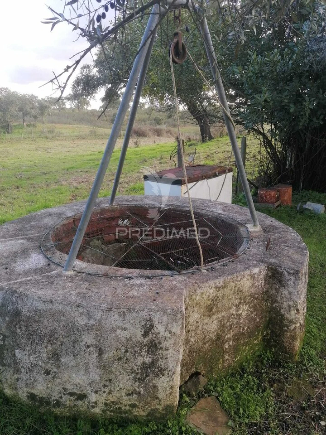 Terreno para Venda em Abela Foto 11