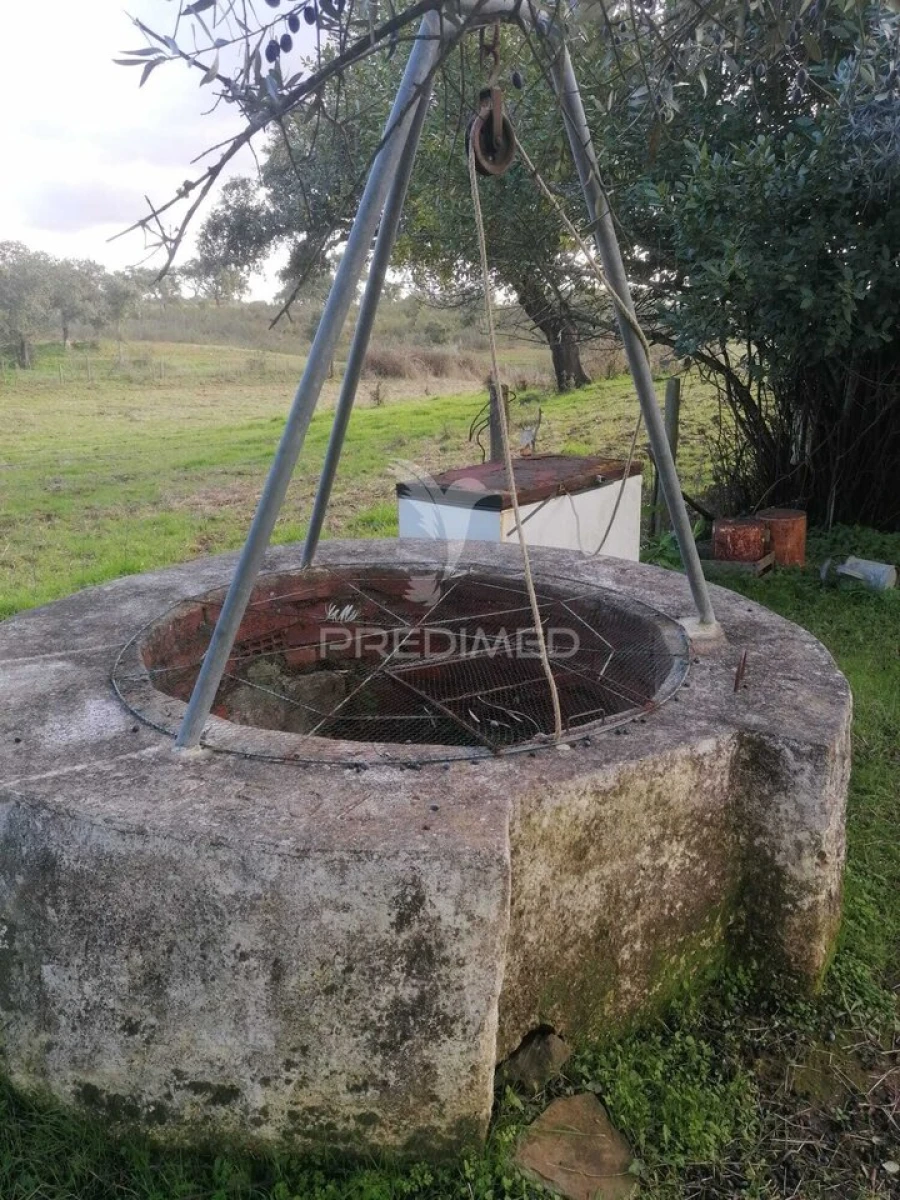 Terreno para Venda em Abela Foto 11