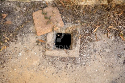 Moradia T6 para Venda em Nossa Senhora da Conceição, São Brás dos Matos, Juromenha