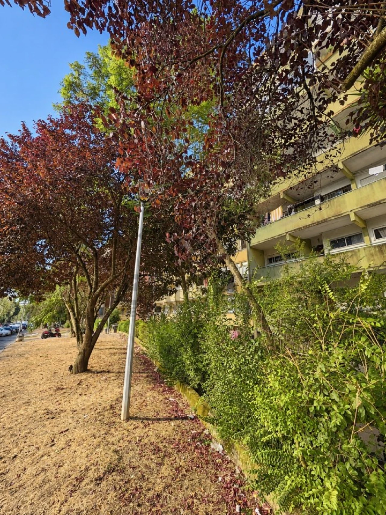 Apartamento T1 para Venda em Algueirão-Mem Martins Foto 28