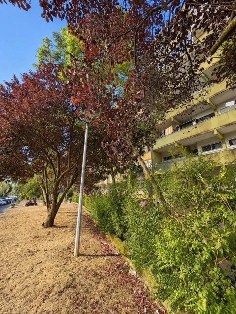 Apartamento T1 para Venda em Algueirão-Mem Martins