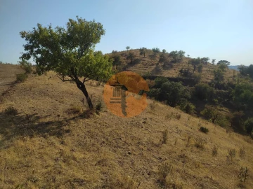 Terreno para Venda em Odeleite