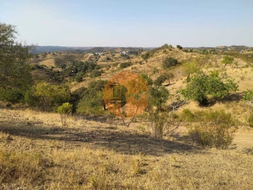 Terreno para Venda em Odeleite
