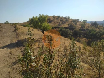 Terreno para Venda em Odeleite