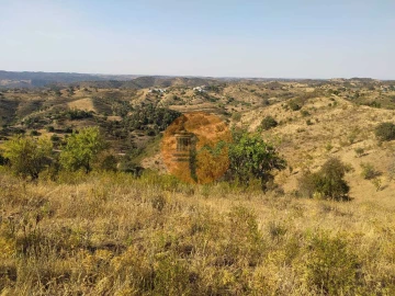 Terreno para Venda em Odeleite