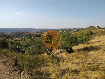 Terreno para Venda em Odeleite