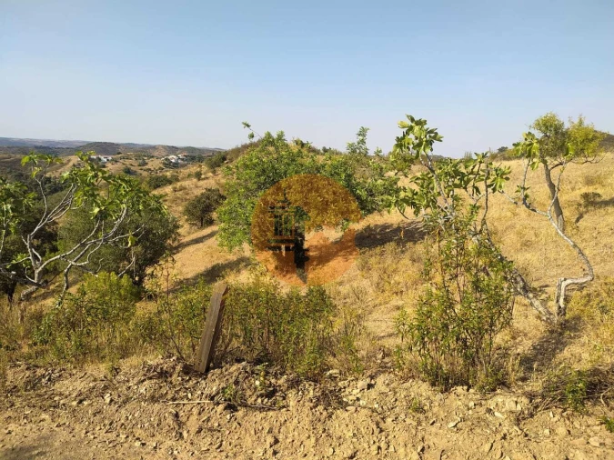 Terreno para Venda em Odeleite Foto 18