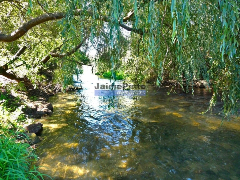 Terreno Agricola ou Rústico para Venda em Covilhã e Canhoso Foto 7