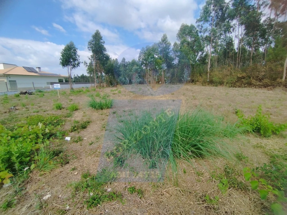 Terreno para Venda em Palhaça Foto 3
