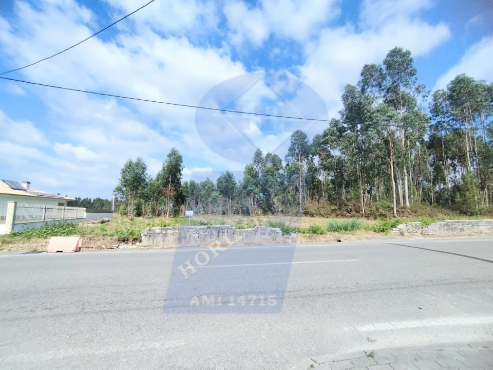 Terreno para Venda em Palhaça Foto 6