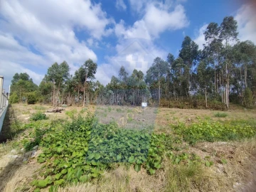 Terreno para Venda em Palhaça