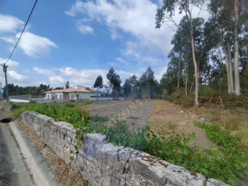 Terreno para Venda em Palhaça