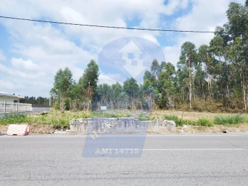 Terreno para Venda em Palhaça