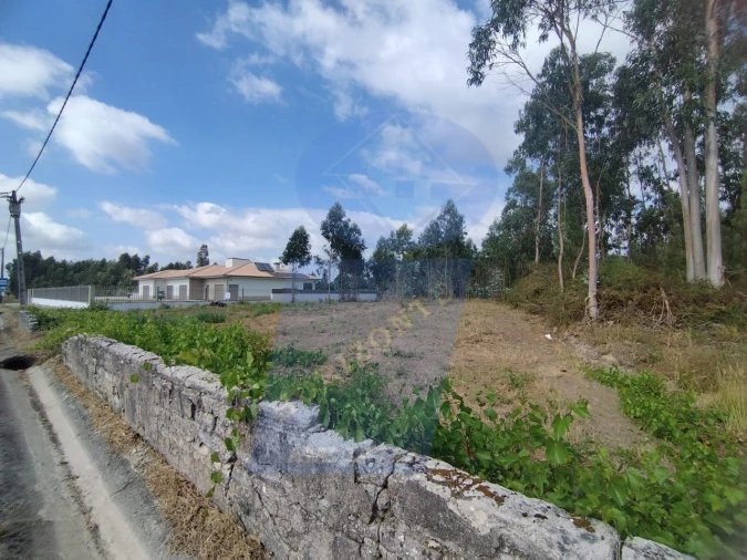 Terreno para Venda em Palhaça Foto 2
