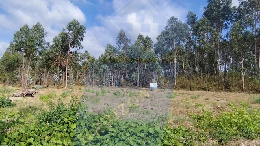 Terreno para Venda em Palhaça