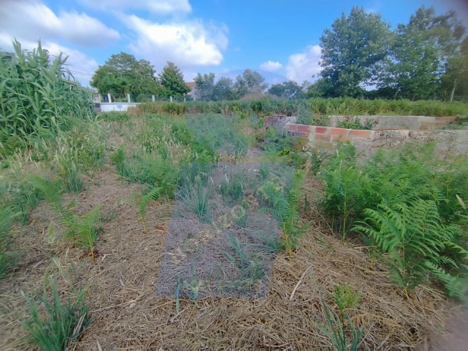 Terreno para Venda em Palhaça Foto 8