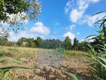 Terreno para Venda em Palhaça