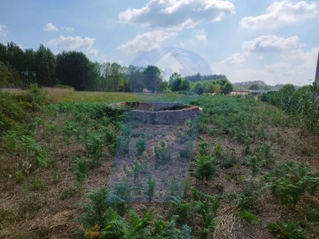 Terreno para Venda em Palhaça